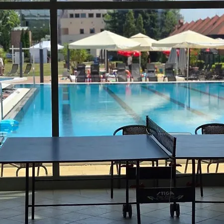 Wellness With Sauna Park Hotel 4*