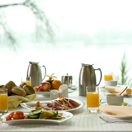 Wellness With Sauna Park Hotel 4*
