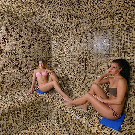 Wellness With Sauna Park Szálloda